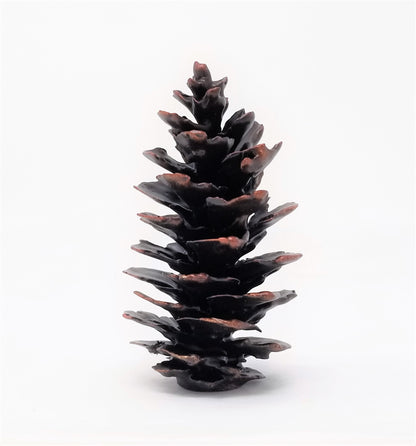 Fir Cone Finial