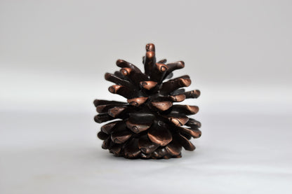 Ponderosa Pinecone Finial | Small