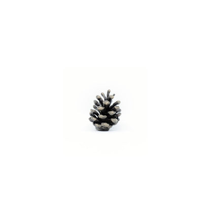 Lodgepole Pinecone Vertical Knob | Small