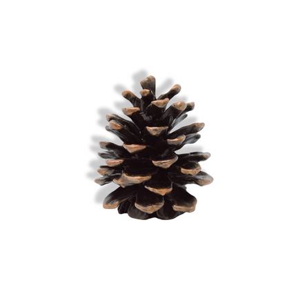 Ponderosa Cone | Large