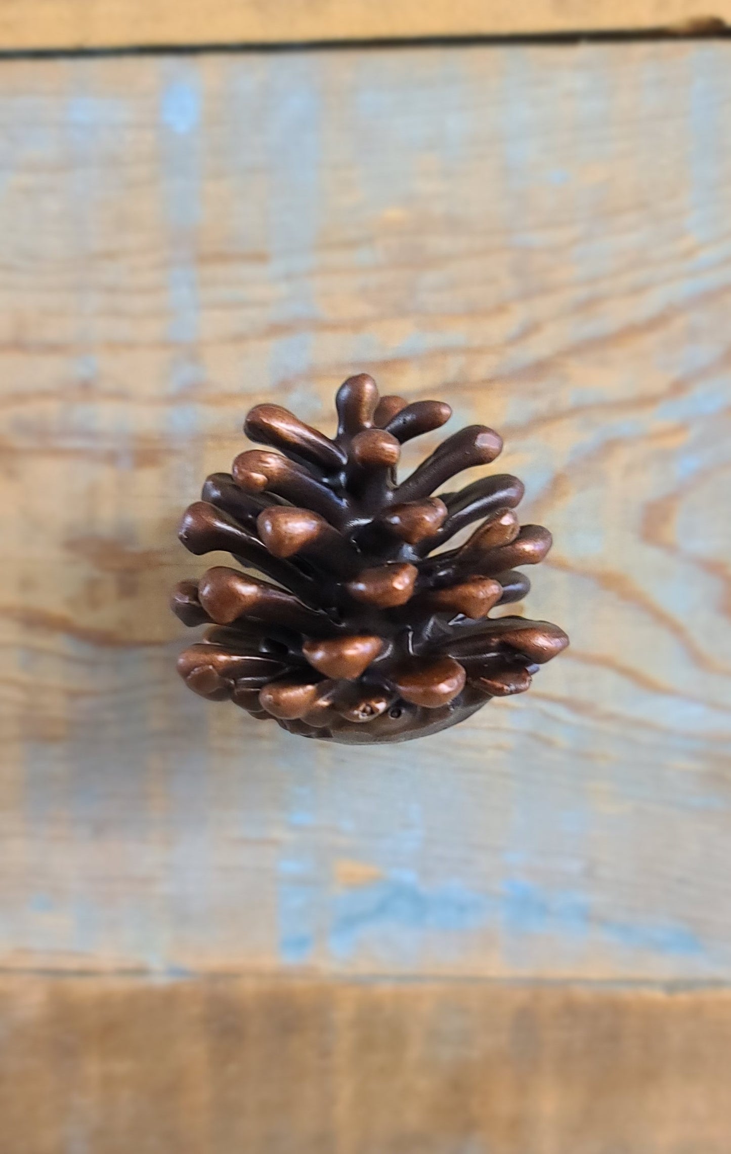 Lodgepole Pinecone Vertical Knob | Large