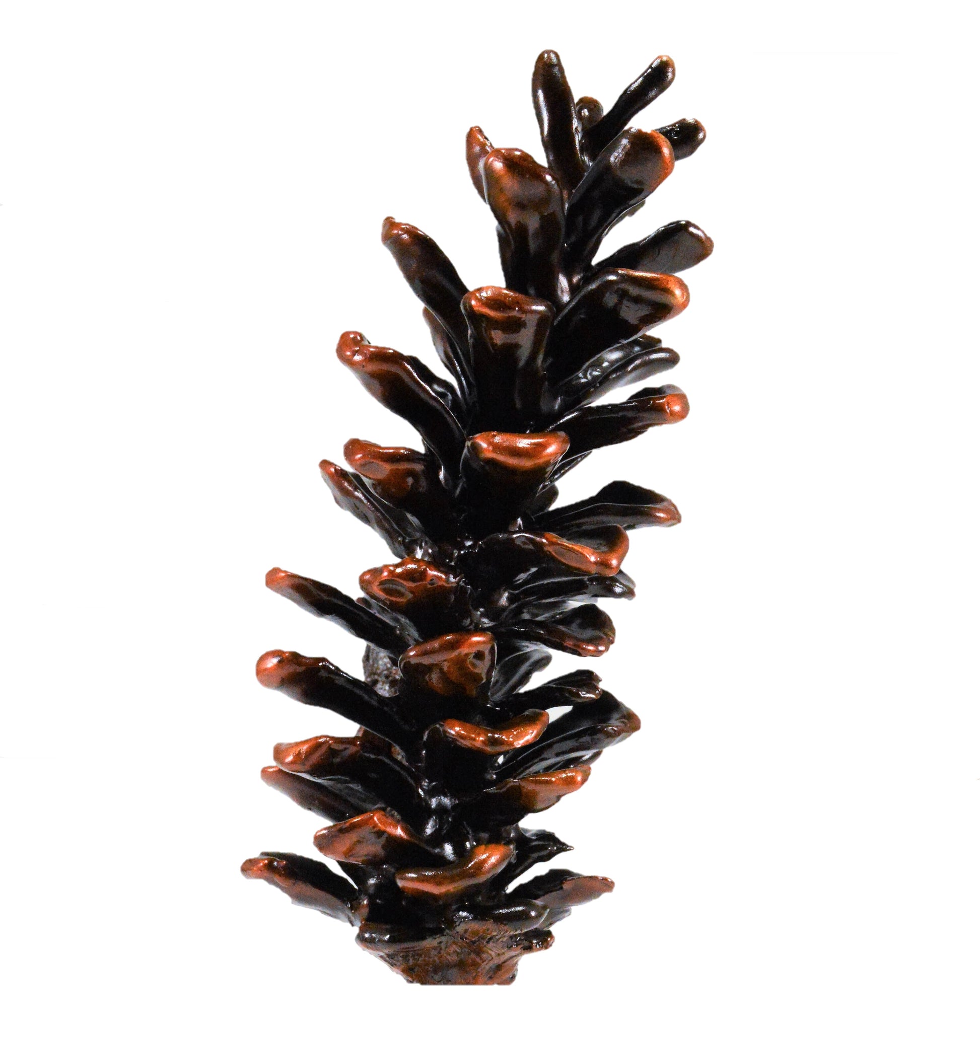 White Pine Cone Finial | Timber Bronze | Oregon