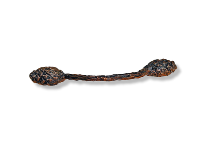 Lodgepole Closed Pinecone Branch Pull | 3.5"