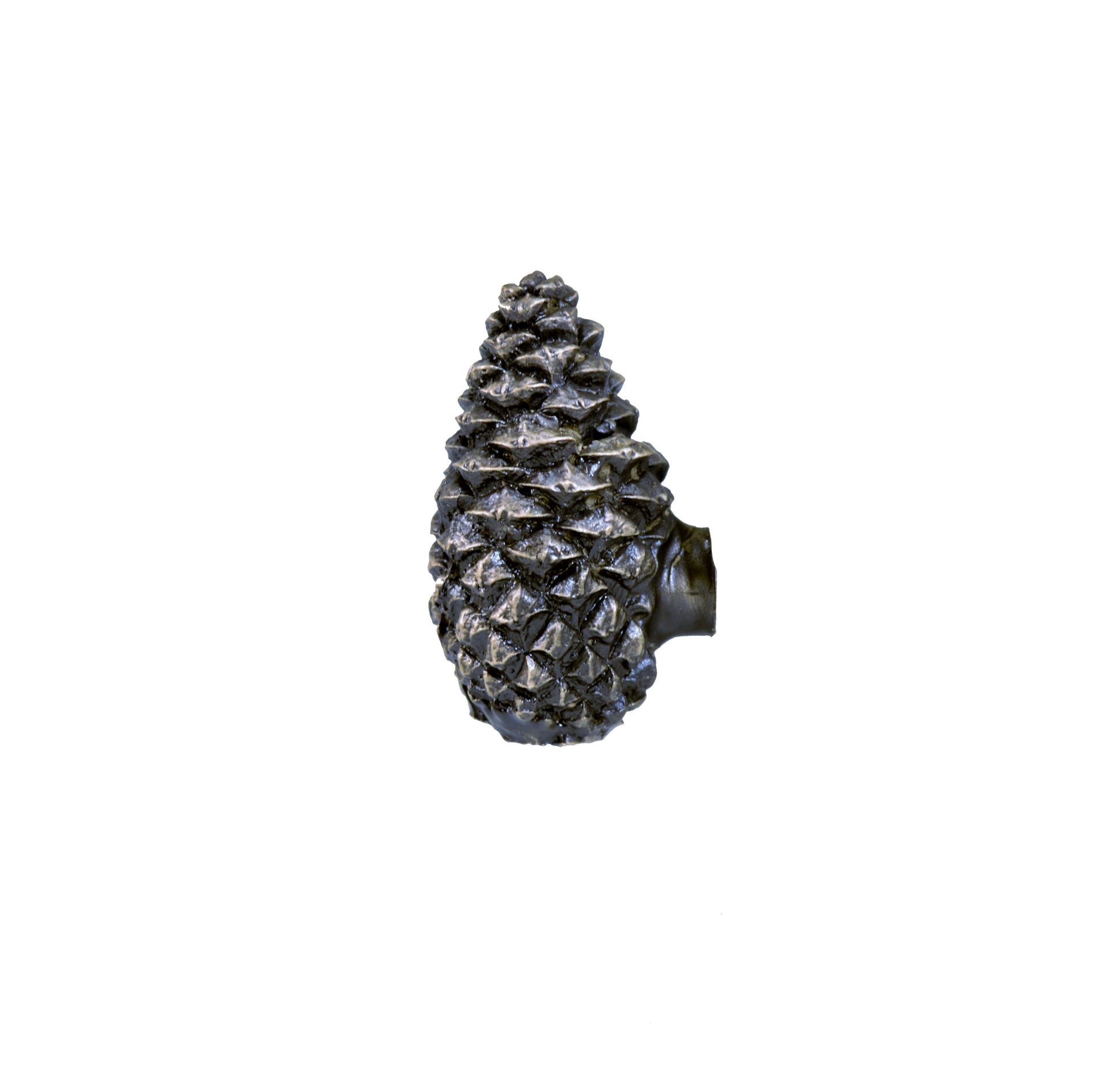 Lodgepole Closed Cone Knob | Timber Bronze | Oregon