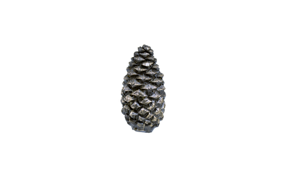 Lodgepole Closed Pinecone Knob | Small - Large