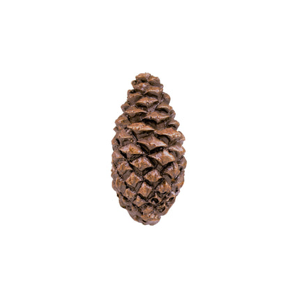 Lodgepole Closed Cone Knob | Timber Bronze | Oregon