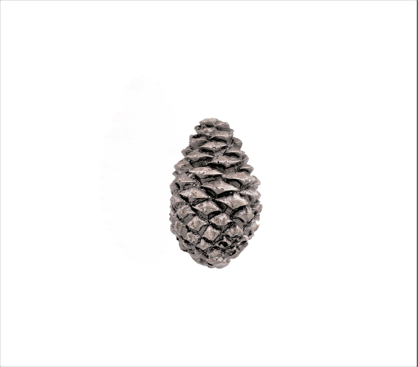 Lodgepole Closed Cone Knob | Timber Bronze | Oregon