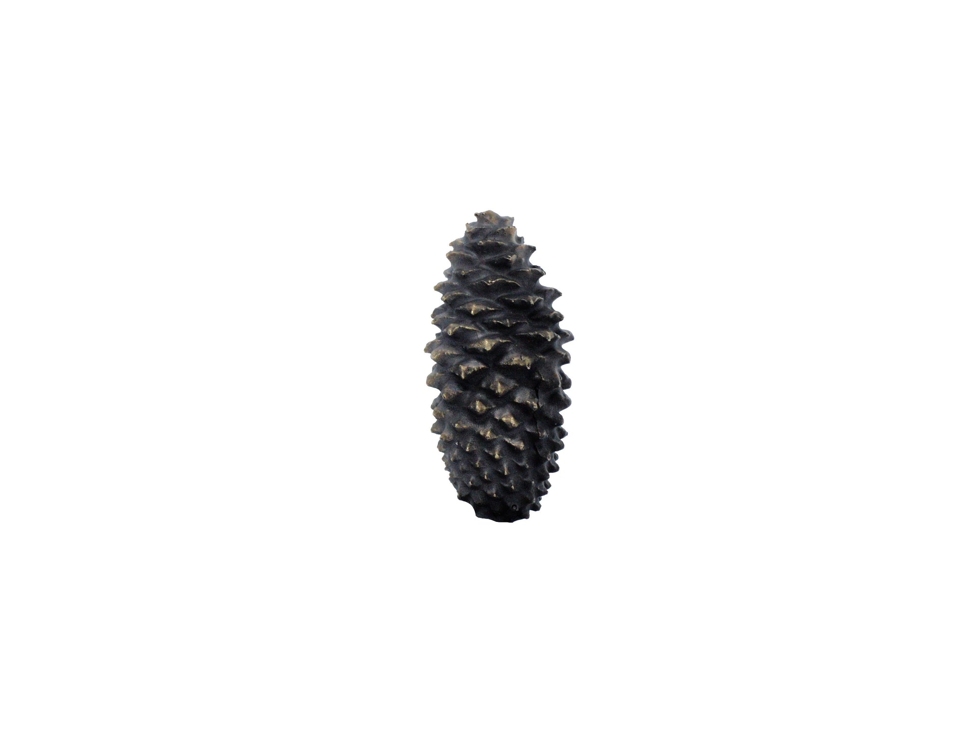 Lodgepole Closed Cone Knob, XL | Timber Bronze | Oregon