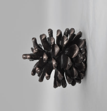 Lodgepole Pinecone Horizontal Knob | Large