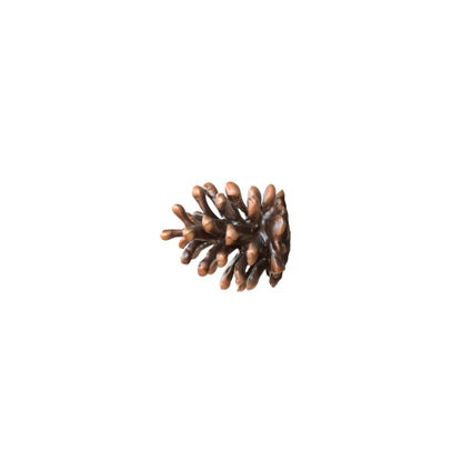 Lodgepole Pinecone Horizontal Knob | Medium