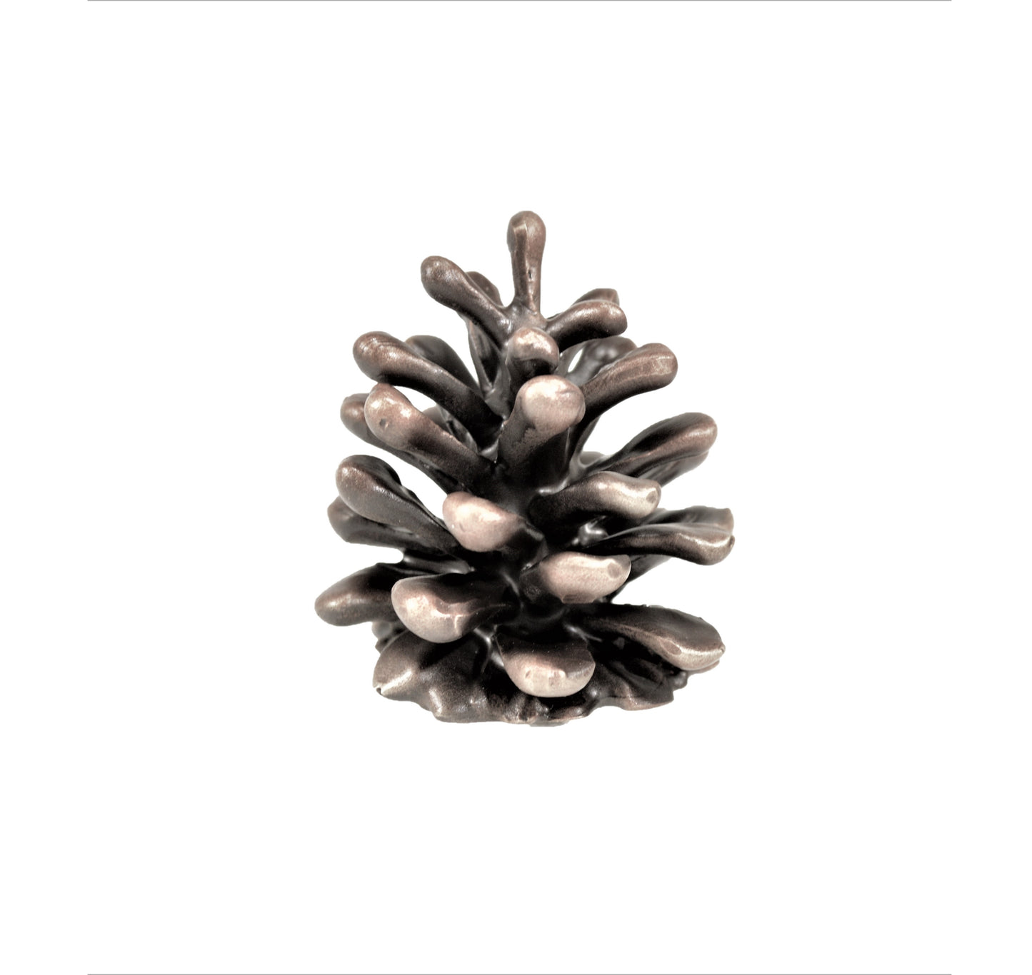 Lodgepole Pinecone Vertical Knob | Medium