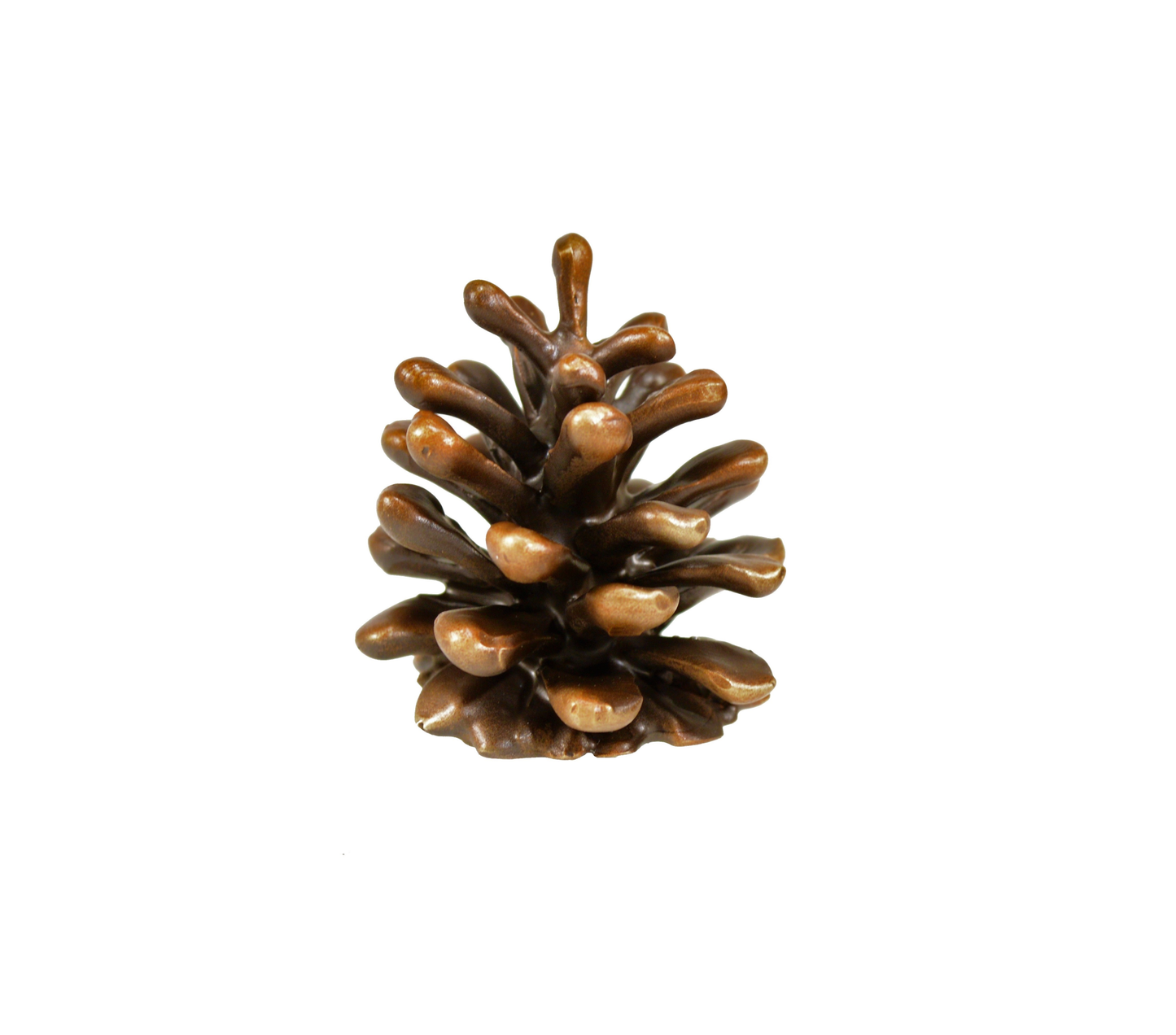 Lodgepole Pinecone Vertical Knob | Medium