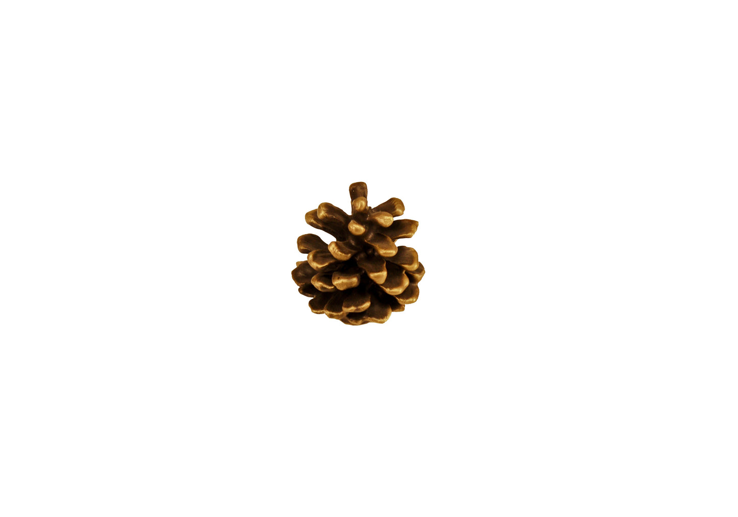 Lodgepole Pine Cone Ugly Cabinet Knob, Pull, Handle | Timber Bronze | Oregon