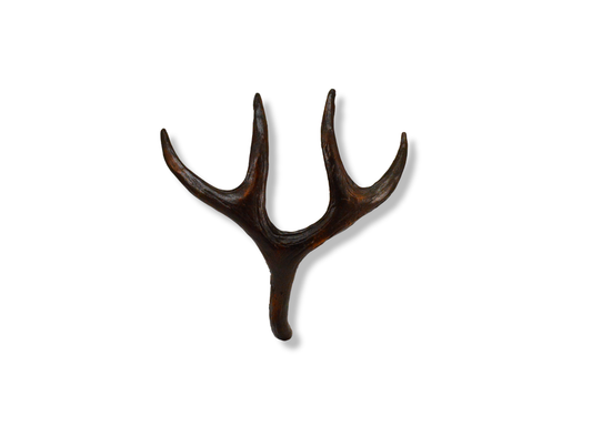 Mule Deer Antler Pull