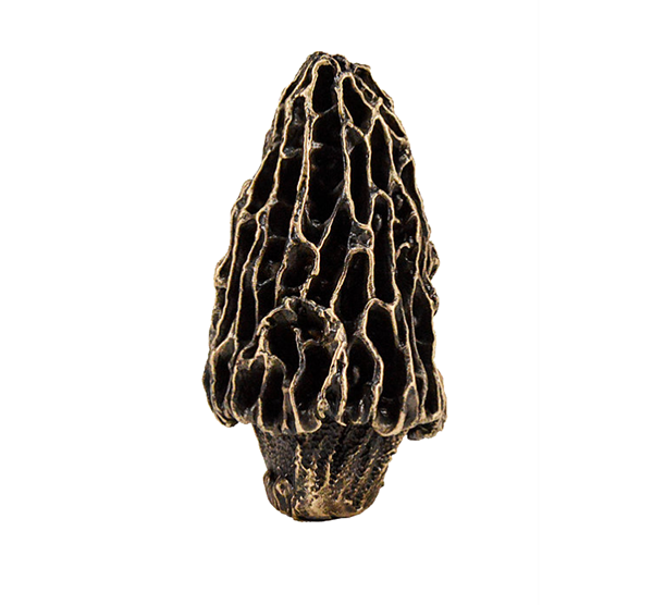 Morel Mushroom Knob | Timber Bronze | Oregon