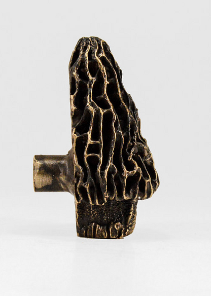 Morel Mushroom Knob (1) | Timber Bronze | Oregon